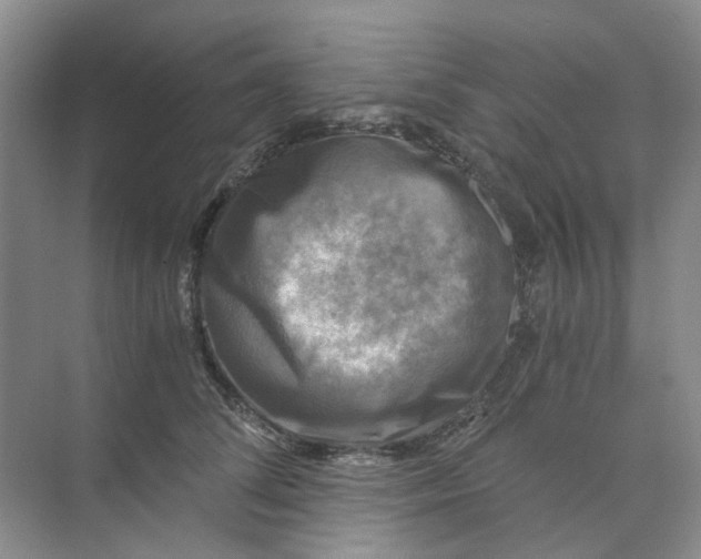 X0000073860708200608312027