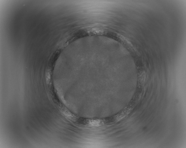 X0000073860709200608312027