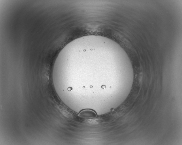 X0000073860710200608312027