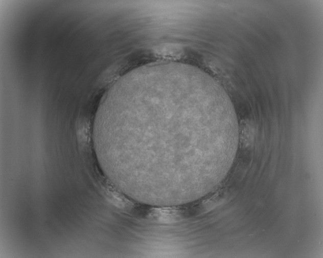 X0000073860713200608312027