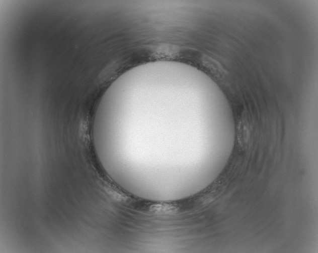 X0000073860714200608312027