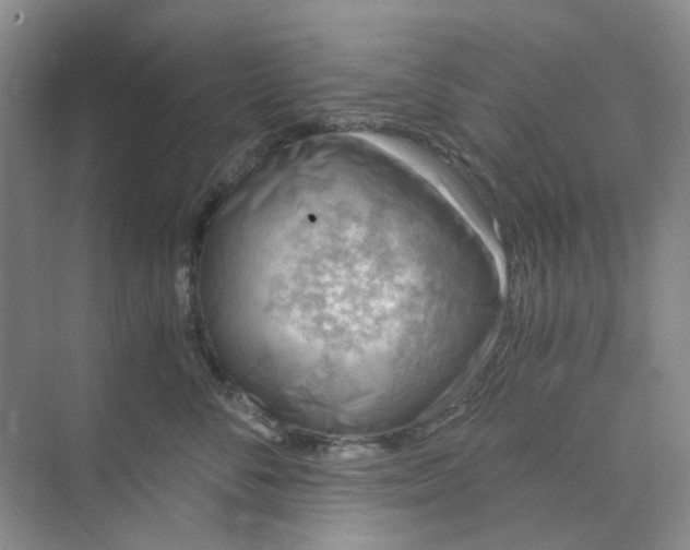 X0000073860716200608312026