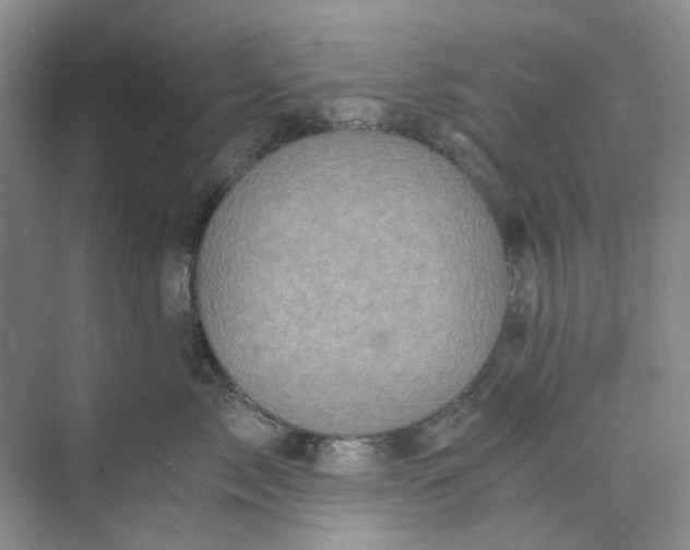 X0000073860717200608312026