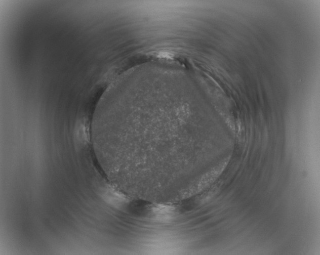 X0000073860718200608312026