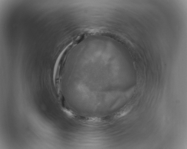 X0000073860720200608312026