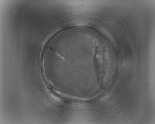 X0000073860721200608312026