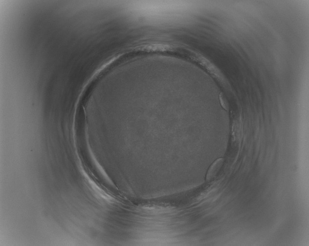 X0000073860722200608312026