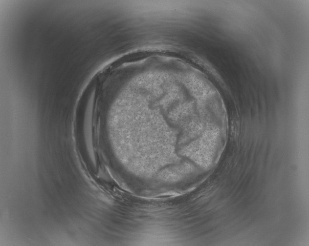 X0000073860724200608312026