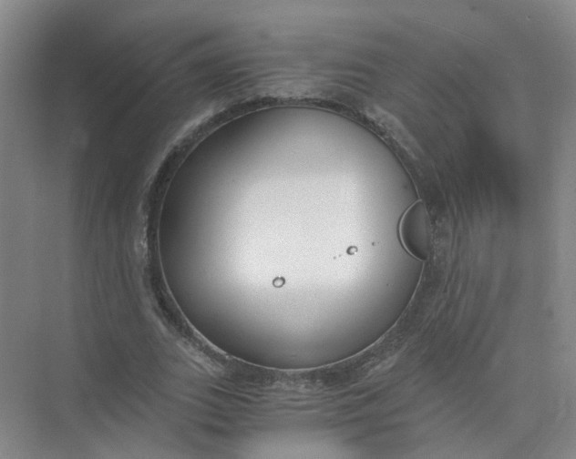 X0000073860727200608312026