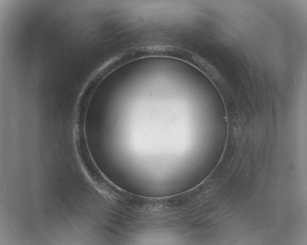 X0000073860728200608312026