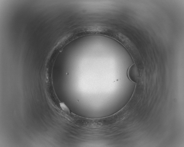 X0000073860731200608312026