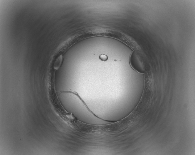 X0000073860732200608312026