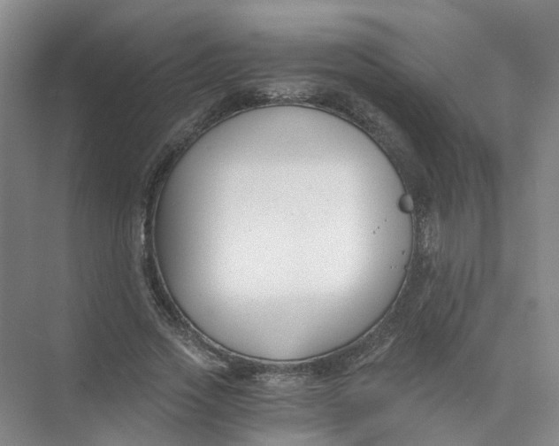 X0000073860733200608312026