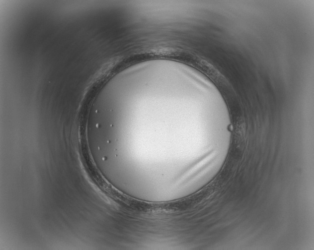 X0000073860734200608312026