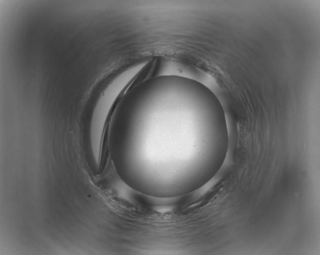 X0000073860735200608312026