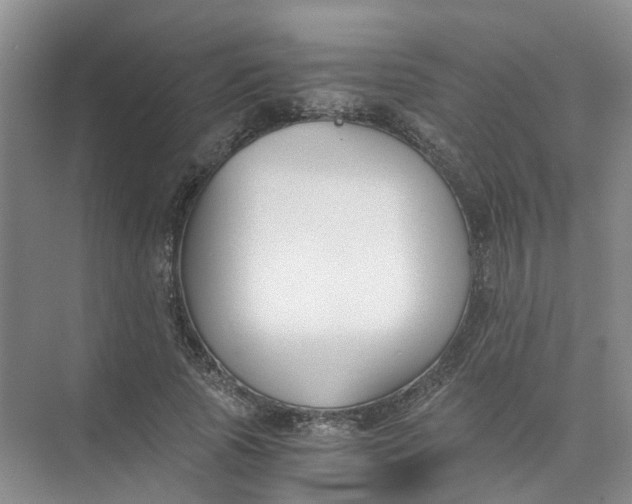 X0000073860737200608312026