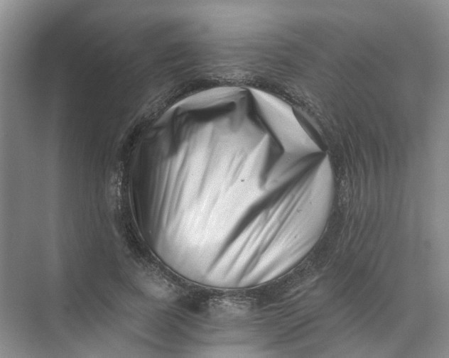 X0000073860739200608312026