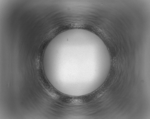 X0000073860741200608312026