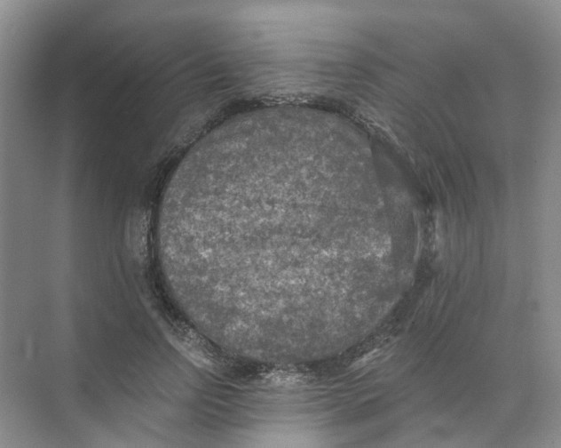 X0000073860742200608312026