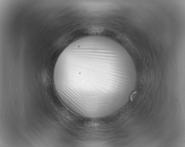 X0000073860743200608312026