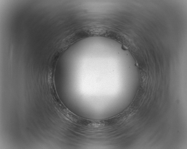 X0000073860745200608312026