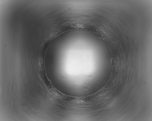 X0000073860747200608312026