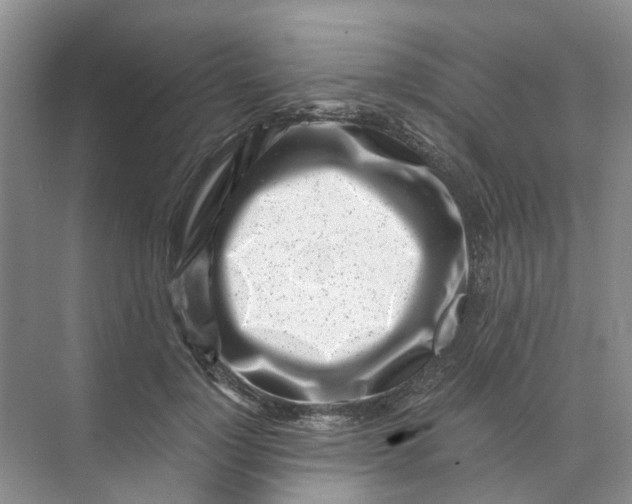 X0000073860748200608312026