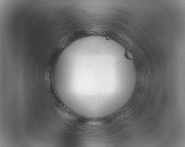 X0000073860749200608312026