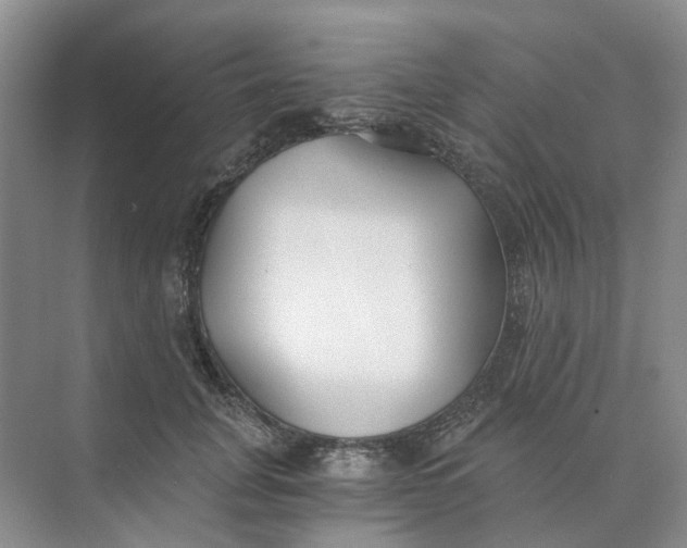 X0000073860751200608312026