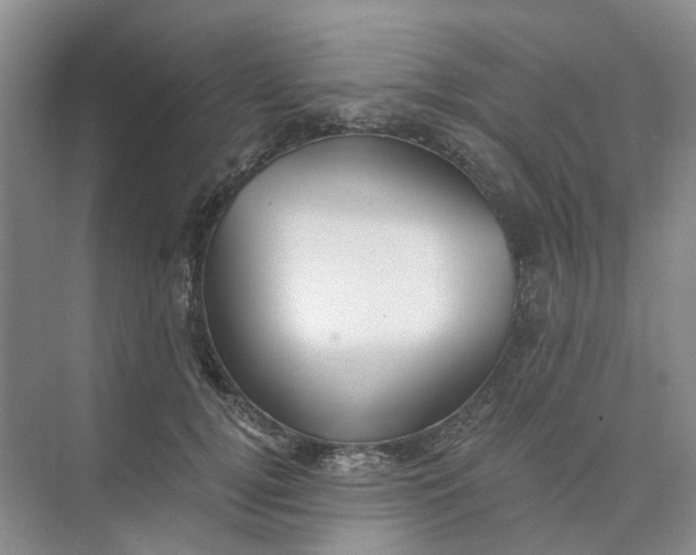 X0000073860752200608312026