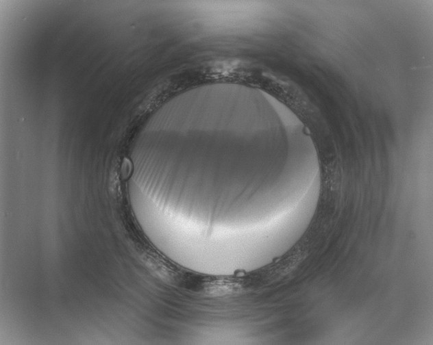 X0000073860754200608312026