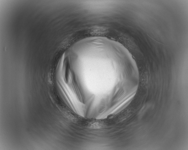 X0000073860755200608312026