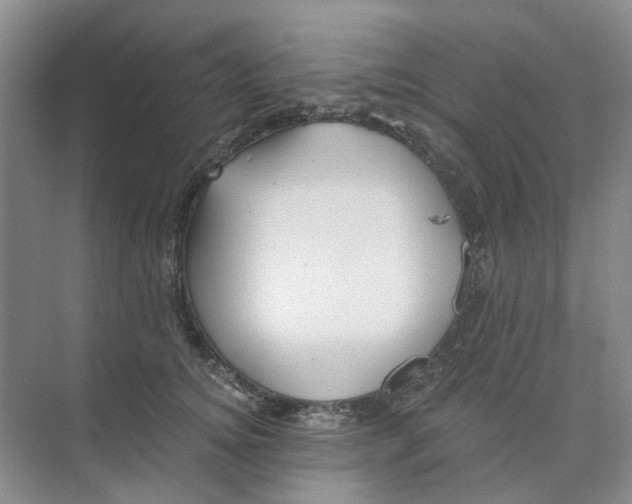 X0000073860756200608312026