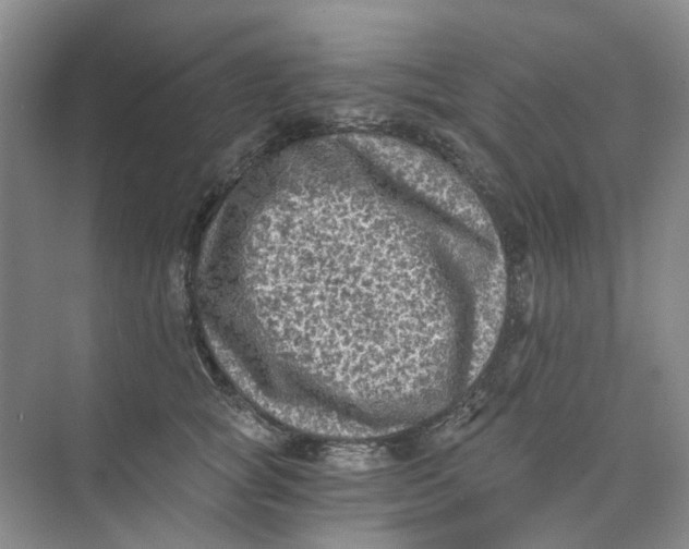 X0000073860757200608312026