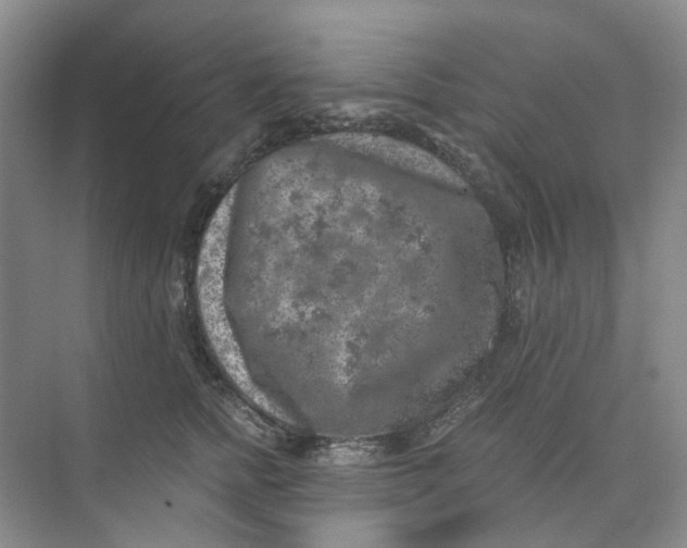 X0000073860758200608312026