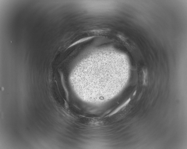 X0000073860760200608312026