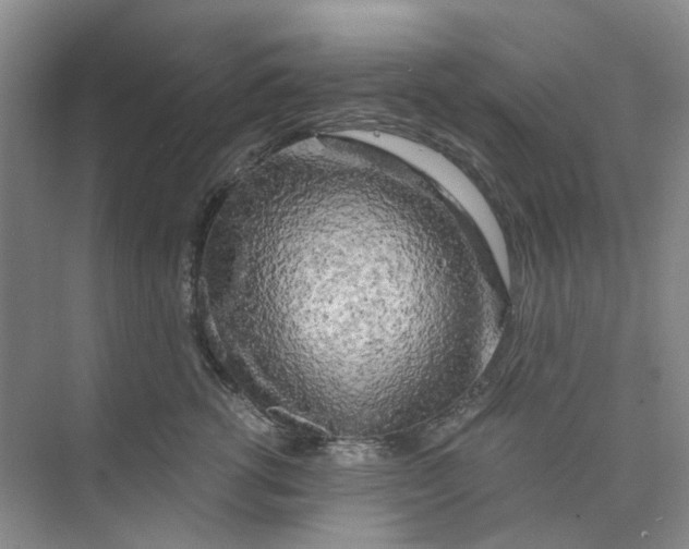 X0000073860762200608312026