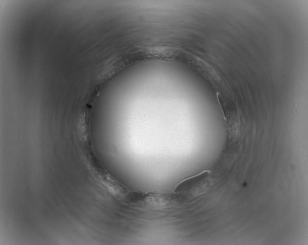 X0000073860764200608312026