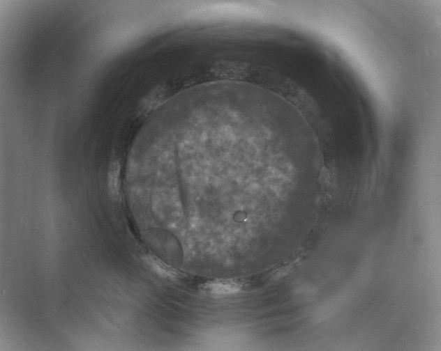 X0000073860765200608312026