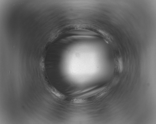 X0000073860766200608312026