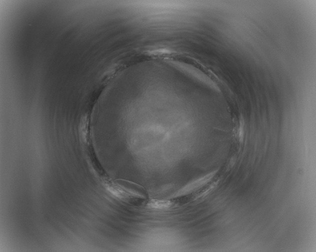 X0000073860767200608312026