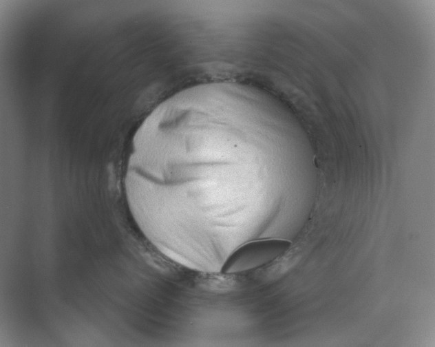 X0000073860768200608312026