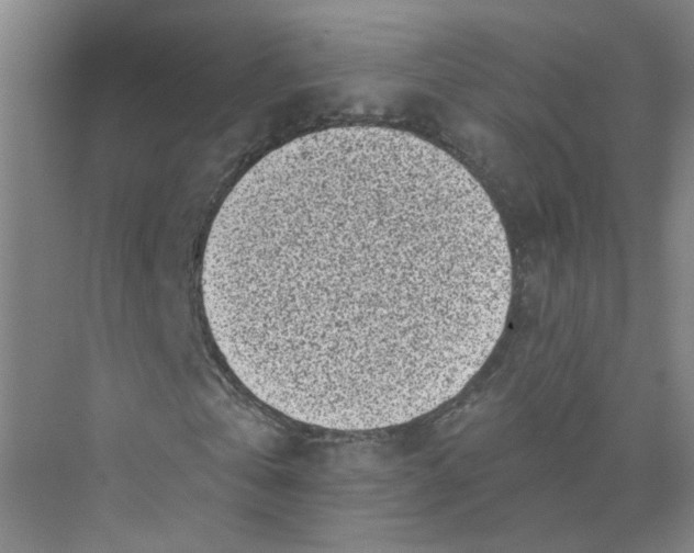 X0000073860769200608312026