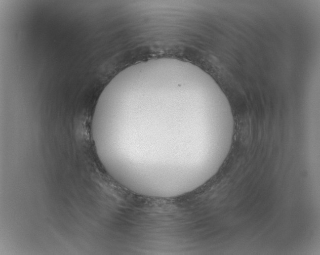 X0000073860770200608312026