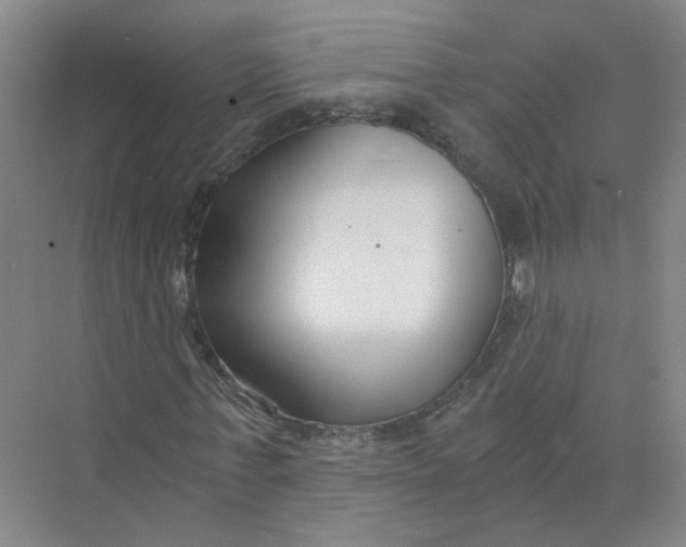 X0000073860771200608312026