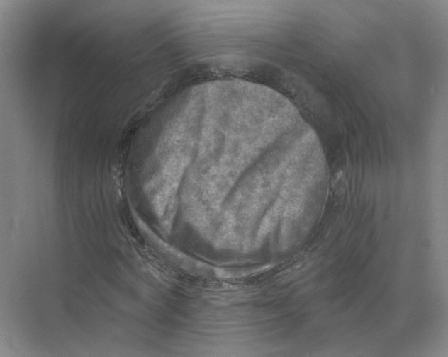 X0000073860772200608312026