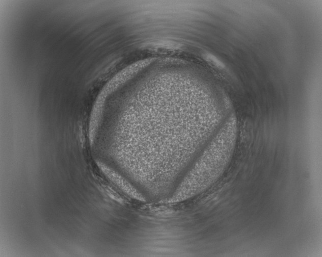 X0000073860774200608312026