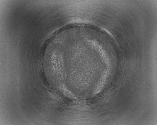 X0000073860775200608312025