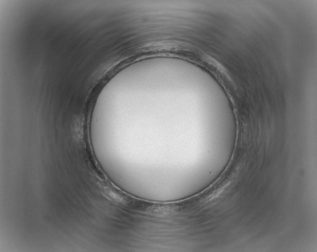 X0000073860778200608312025