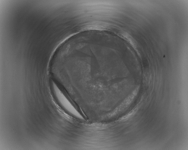 X0000073860779200608312025